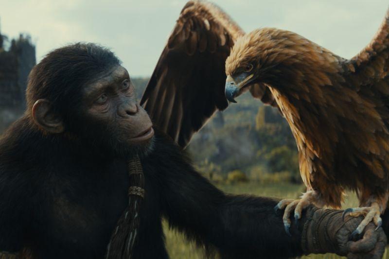 5 Fakta Menarik Film “Kingdom of the Planet of the Apes”