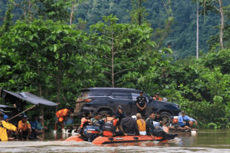 Tiga Buaya Terpantau Dampak Banjir Bandang Sultra