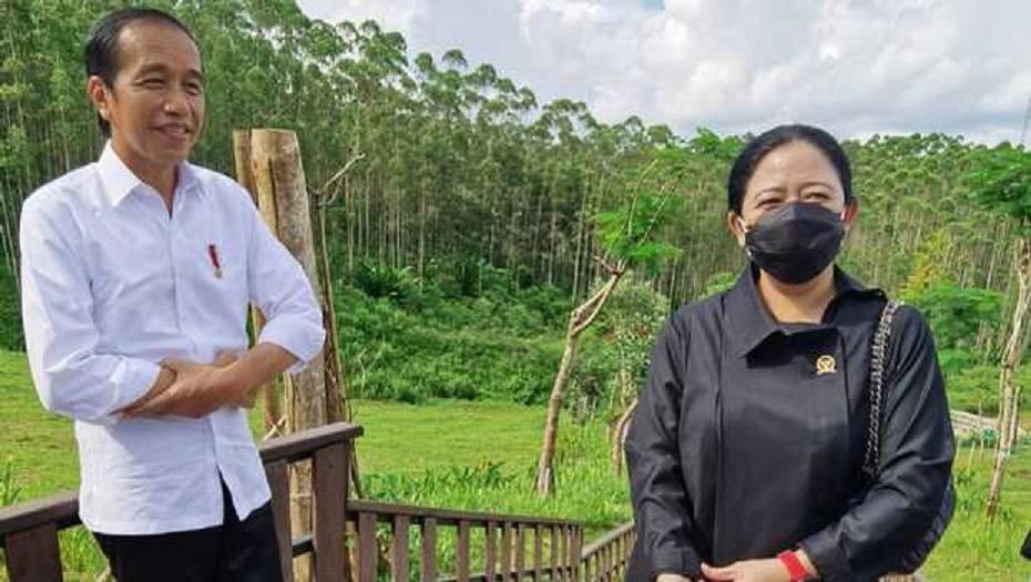 PDIP: Pertemuan Puan dan Jokowi di WWF Ke-10 Tunjukan Indonesia Bisa Kompak