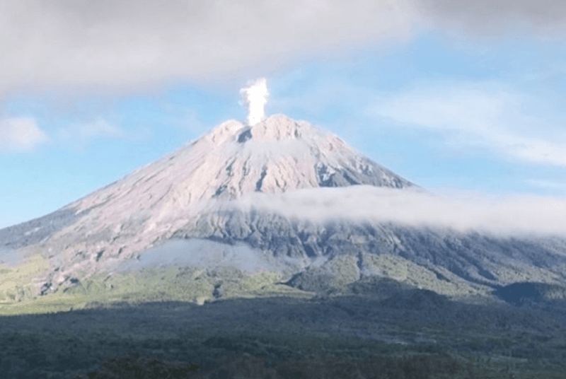 Semeru Kembali Erupsi Lontarkan Abu Vulkanik Setinggi 800 Meter