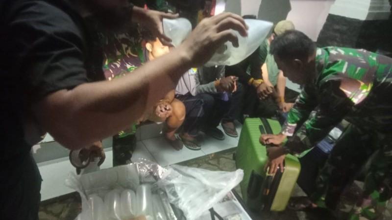 TNI AL Gagalkan Upaya Penyelundupan 24.000 Benih Bening Lobster