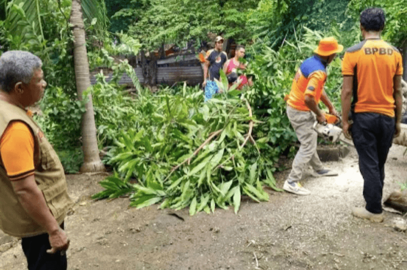 Lima Wilayah di NTT Berpotensi Diterjang Angin Kencang
