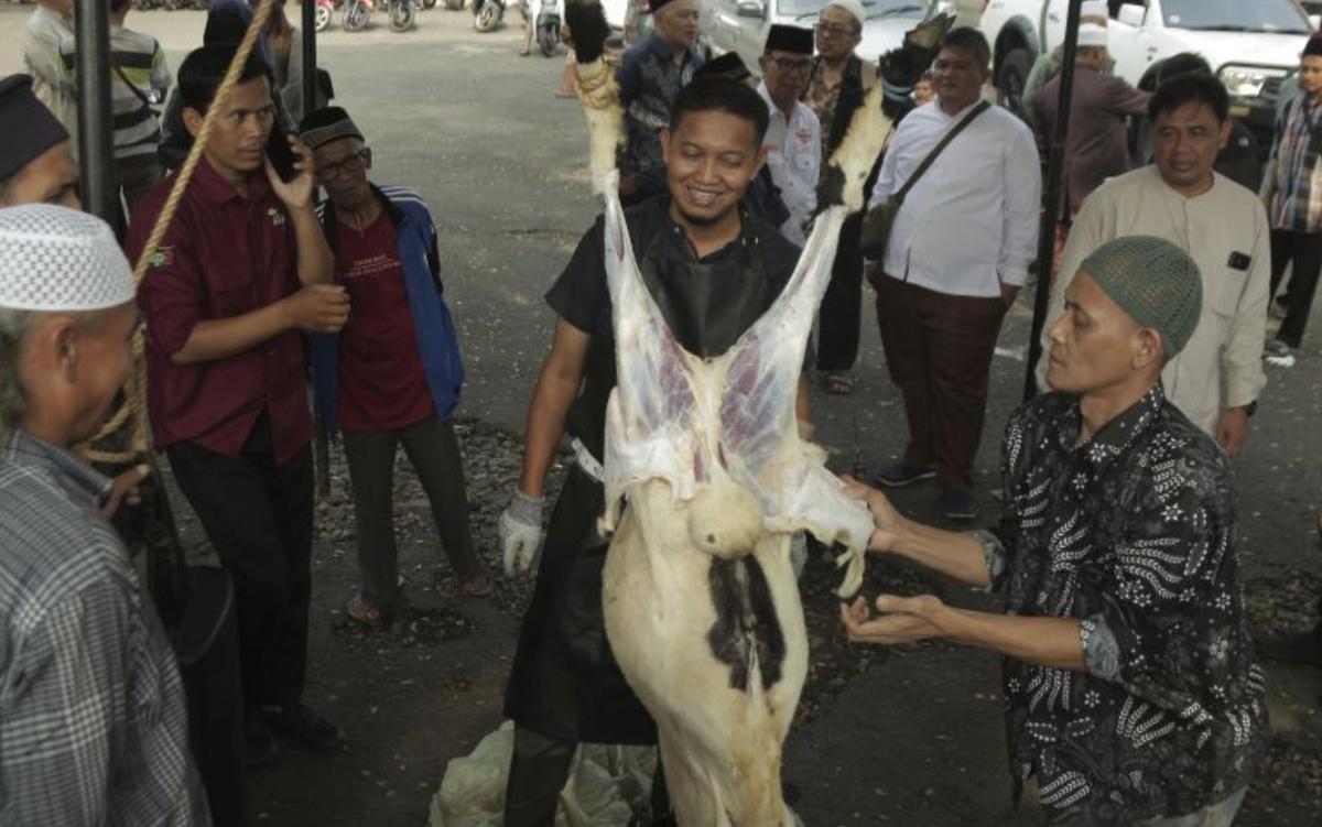 KLHK Ingatkan agar Ada Penanganan Khusus Limbah Pemotongan Hewan Kurban