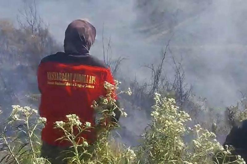Kebakaran di Taman Nasional Bromo Berhasil Dipadamkan