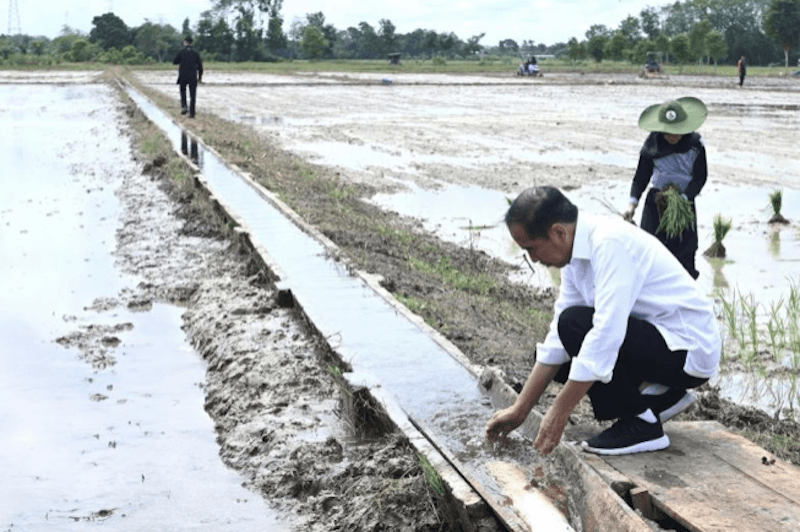 Kementan Diminta Tambahkan Pompa untuk Atasi Kekeringan Lahan Pertanian Juli-Oktober