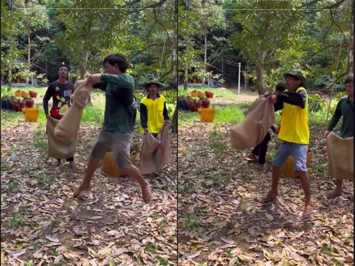 Ditonton 40 Juta Kali, Begini Cara Panen Durian Pakai Karung