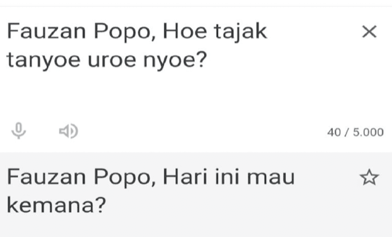 Bahasa Aceh di Google Translate Disebut Perlu Penyempurnaan