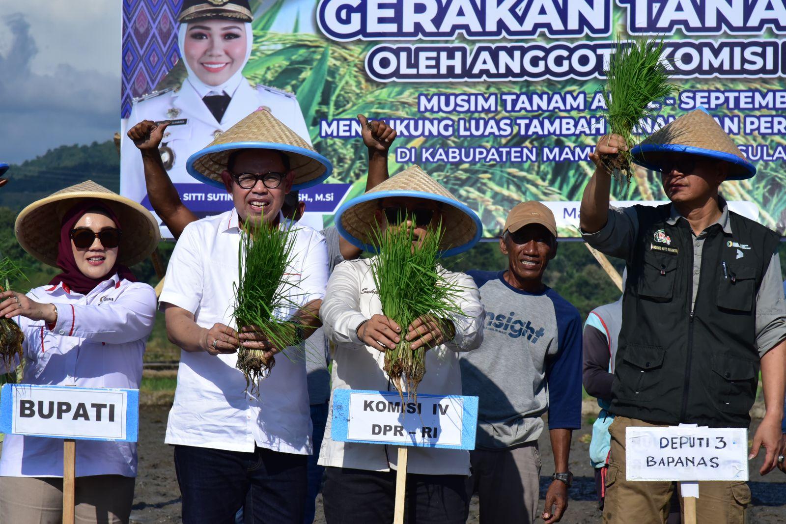 Komisi IV Dorong Maksimalkan Cetak Sawah Baru di Sulawesi Barat
