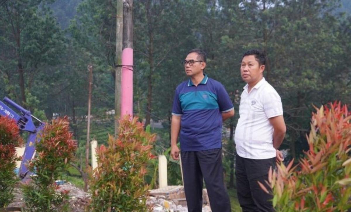 Asmawa Tosepu dan 1.370 Tanaman Pucuk Merah di Sepanjang Jalur Puncak