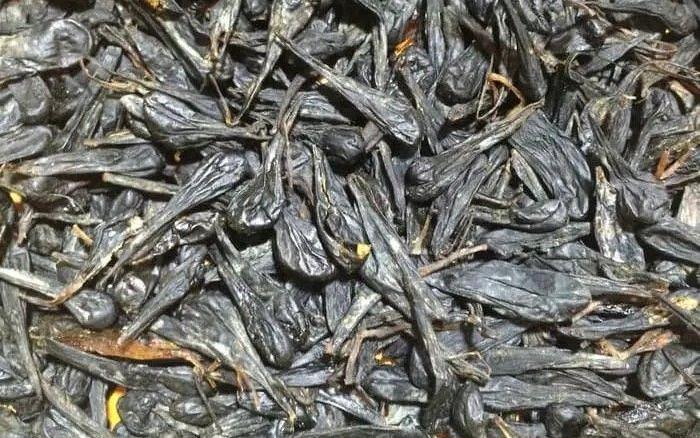 Berani Coba? Ini Daftar Kuliner Ekstrem di Indonesia