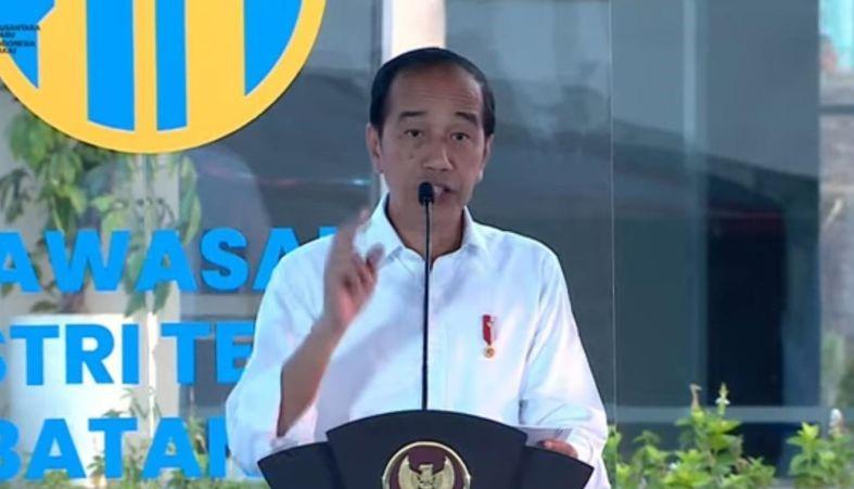 Presiden Minta Menko Marves-BKPM Aktif Pasarkan Industri Batang