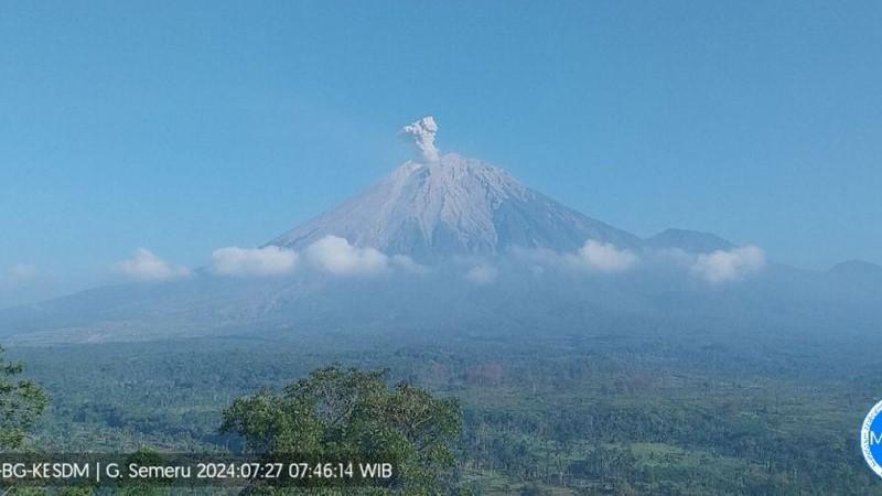 Gunung Semeru Erupsi Setinggi 800 Meter