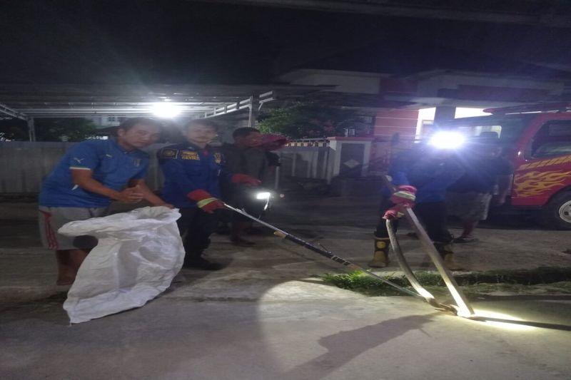 Ada Ular Kobra Resahkan Warga di Lampung, Damkar Bantu Menolong