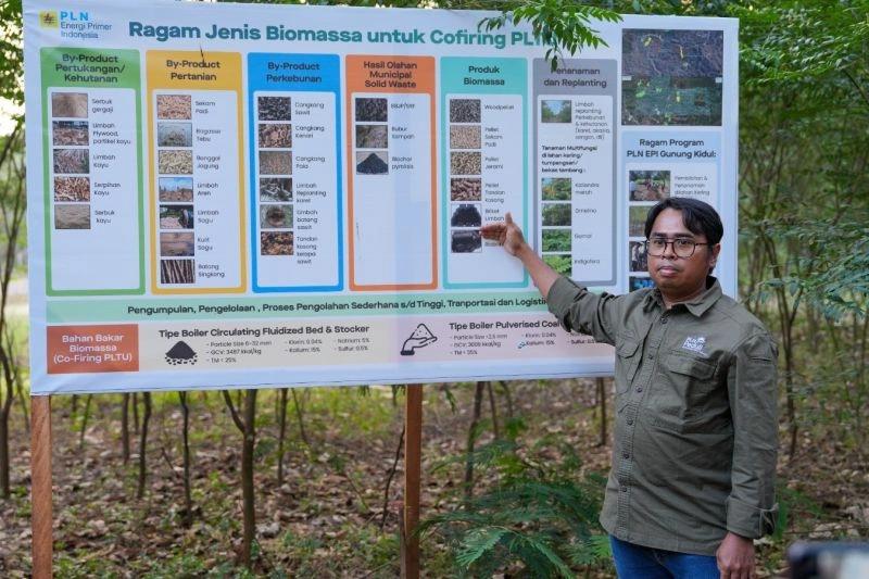 Gantikan Batu Bara, PLN EPI Bakal Pasok 300 Ton Biomassa per Tahun dari Gunungkidul