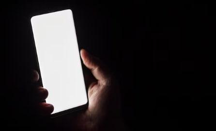 Tukang Kayu di Jepang Ditangkap gegara Rekam Sejoli Berhubungan Seks