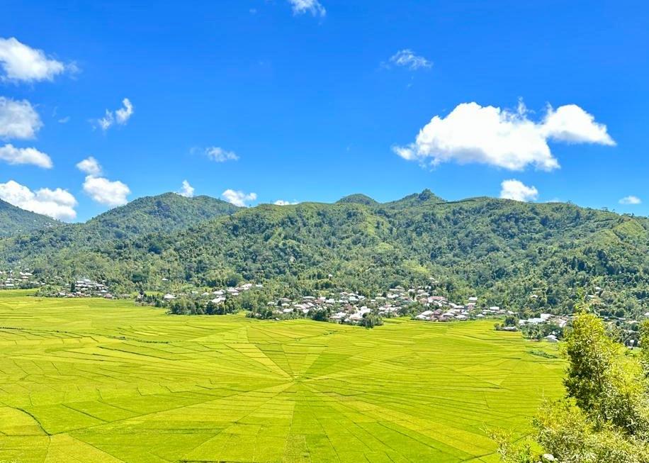 Unik! Sawah Berbentuk Jaring Laba-Laba di NTT