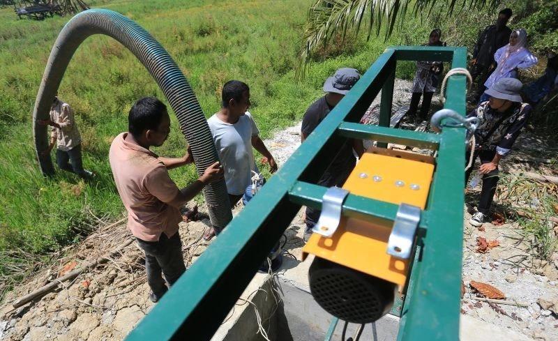 Faktor Ini Bikin Mentan Amran Pede Indonesia Bisa Antisipasi Krisis Pangan