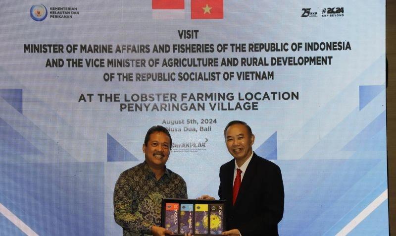 Kementerian KKP ‘Spill’ Progres Kerja Sama Budidaya Lobster dengan Vietnam