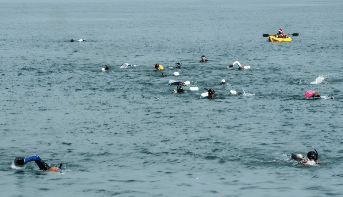 80 Peserta Ikuti Lomba Renang Lintas Teluk Palu Meriahkan HUT RI