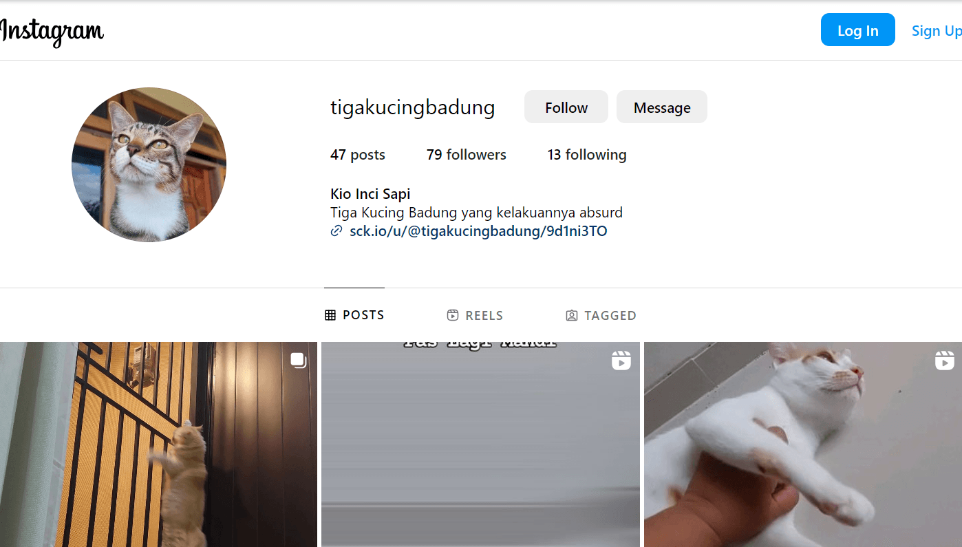 9 Cara Download Video dari Instagram yang Praktis dan Mudah