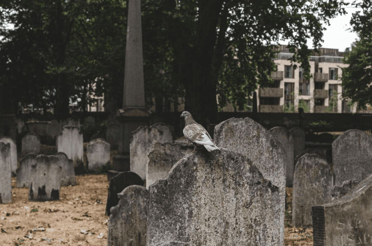 Mimpi Menginjak Kuburan: 31 Arti dan Maknanya dalam Kehidupan Sehari-hari