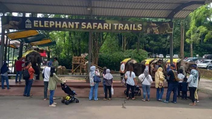 Taman Safari Indonesia bakal Hadir di IKN, Sedang Penentuan Calon Lokasi