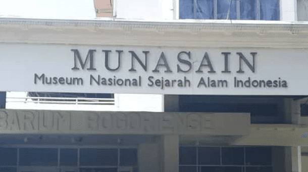 Menelusuri Kekayaan Budaya di Museum Etnobotani atau Museum Nasional Sejarah Alam Indonesia