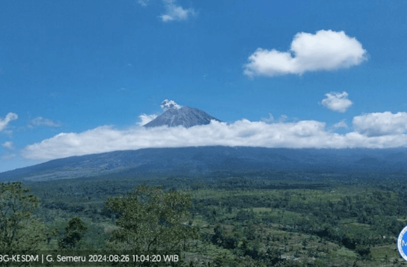 Hari Ini Gunung Semeru Erupsi Beberapa Kali