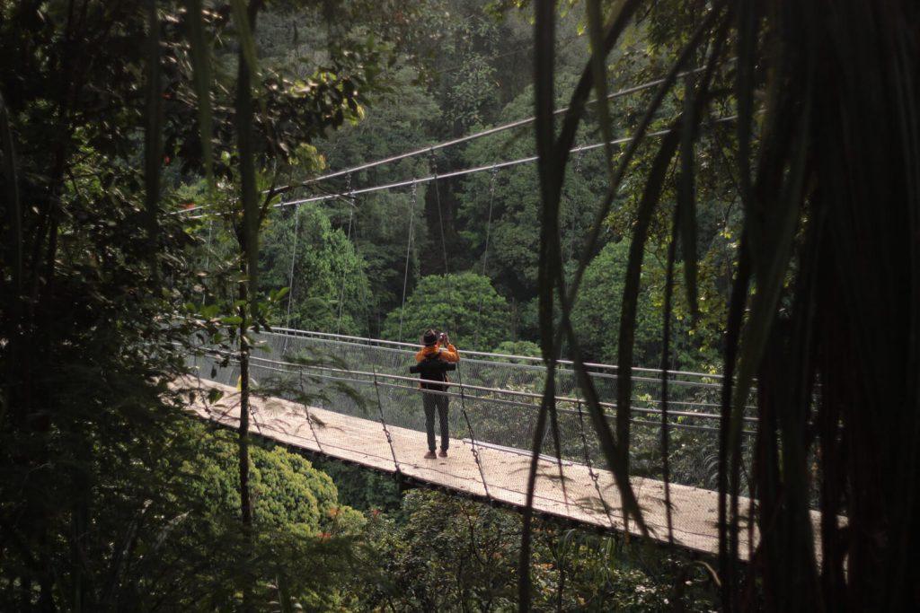 Keindahan Alam di Situ Gunung Suspension Bridge menjadi Daya Tarik Wisata di Sukabumi