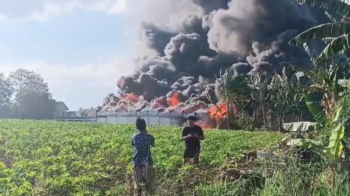 Gudang BBM Ilegal di Lampung Selatan Terbakar Hebat, Warga Dengar Suara Ledakan Beruntun