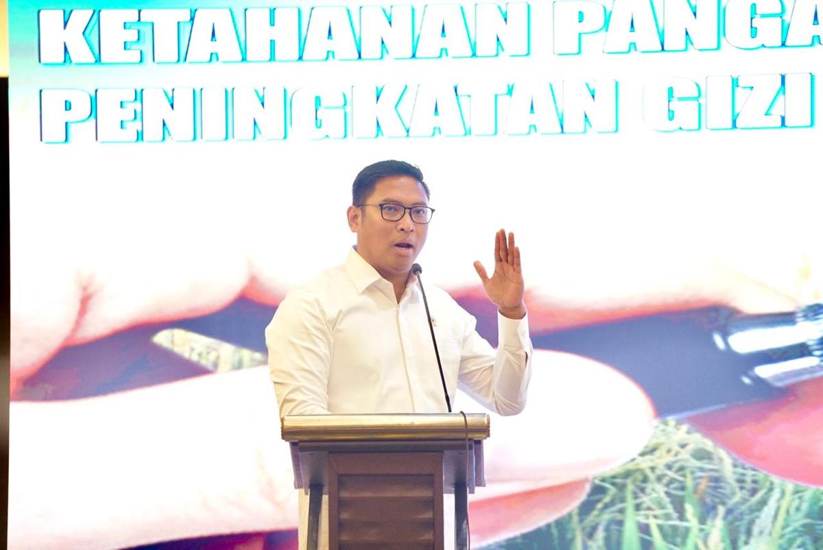 Wamentan Sudaryono Ungkap Alasan Indonesia Harus Cetak Sawah Baru