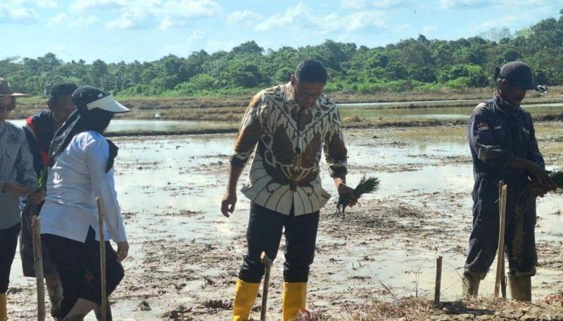 Ini Alasan Wamentan Sudaryono Usul Pupuk Indonesia dan Bulog di Bawah Kementan