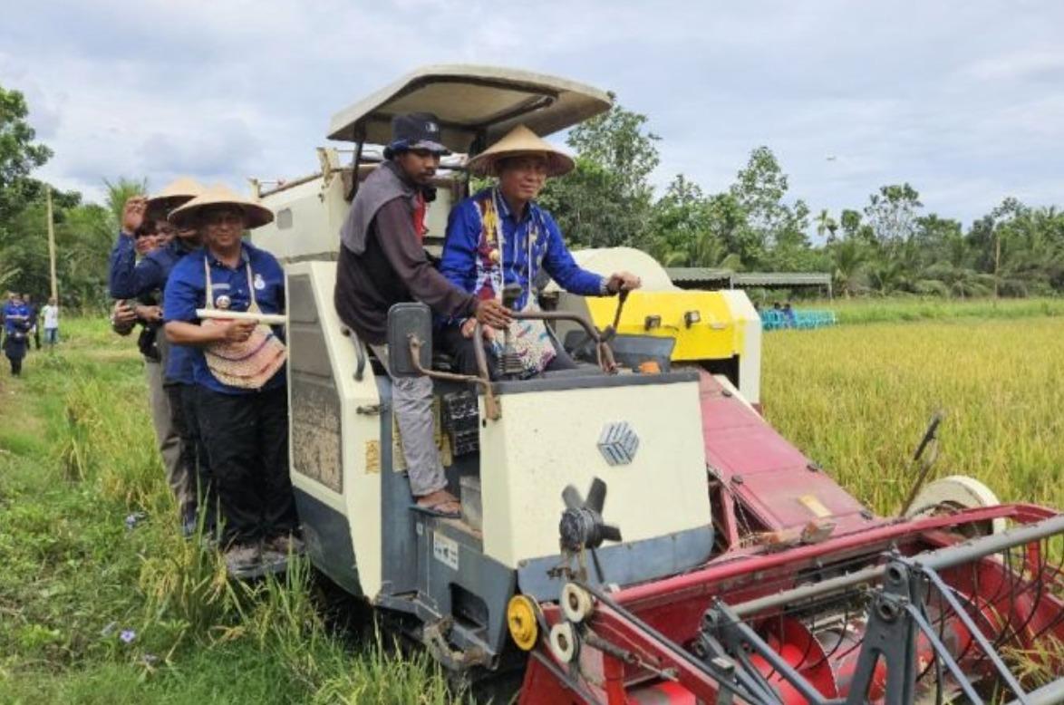 Pemprov Papua Dukung Pembangunan Food Estate, Tekankan Kolaborasi dengan Masyarakat Adat