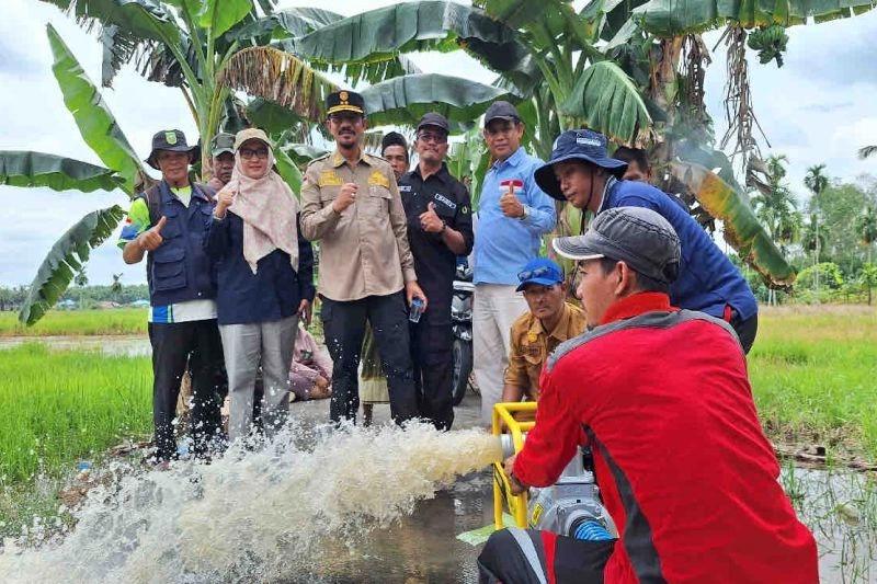 Perluas Areal Tanam, Kementan Salurkan 1.003 Pompa di Riau