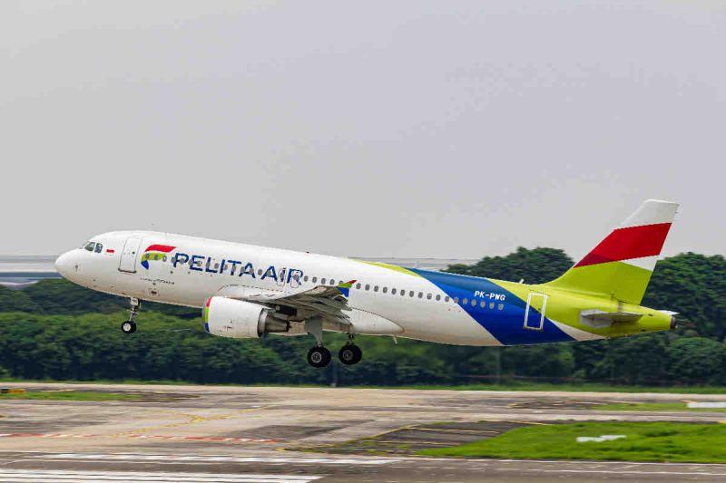 Program "Benih Dari Langit" Pelita Air, Langkah Nyata Kurangi Emisi Karbon