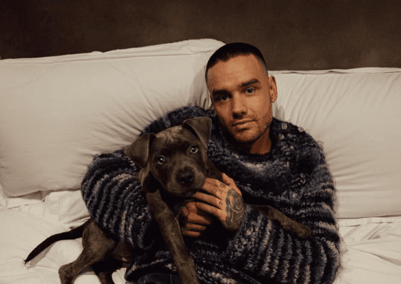 Liam Payne Ditemukan Tewas di Hotel Buenos Aires, Diduga Jatuh dari Lantai Tiga