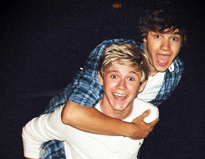 Niall Horan Ungkap Pertemuan Terakhirnya dengan Liam Payne