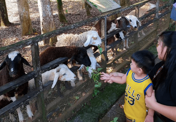 3 Wisata Edukasi di Bogor yang Menarik Perhatian