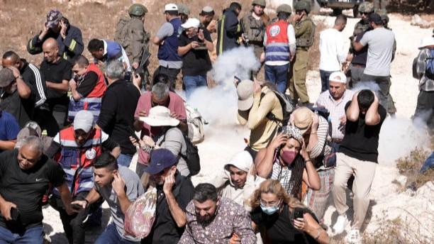 Gas Beracun Israel Warnai Panen Zaitun di Tepi Barat