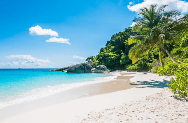 5 Cerpen Tentang Pantai yang Menginspirasi dan Menghibur