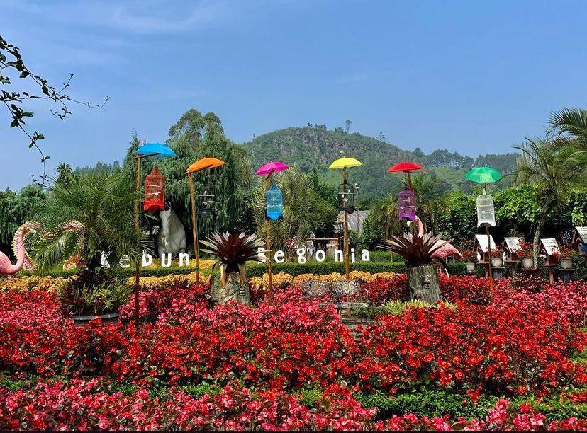 5 Rekomendasi Wisata di Jawa Barat