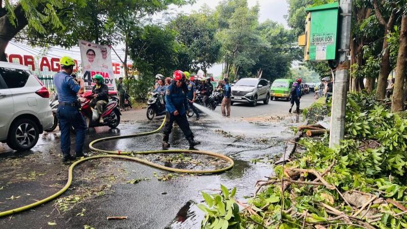 Pohon Tumbang di Bogor Timpa Pengendara Motor hingga Tewas, Pemkot: Rapuh Cuaca Ekstrem