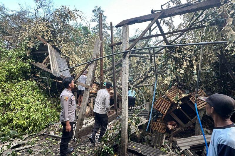 Gegara Hujan dan Angin Kencang, Warga di Blitar Tewas Tertimpa Pohon