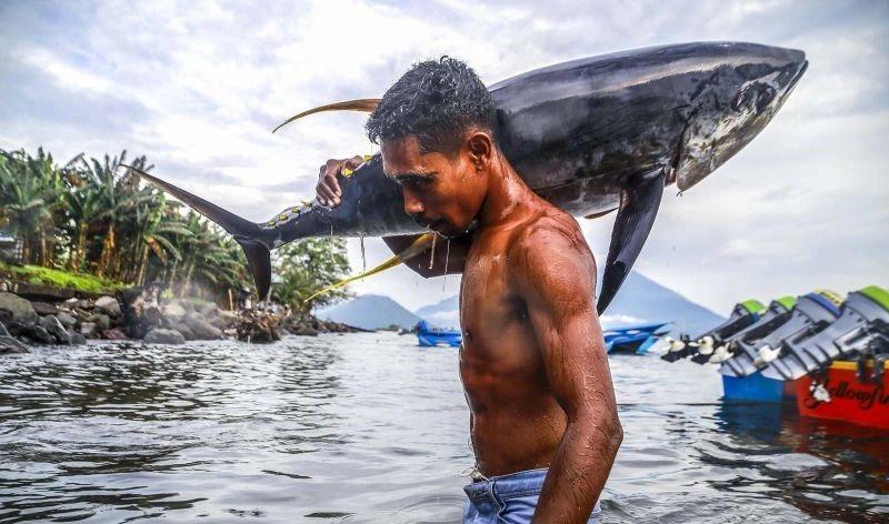 Menanti Hasil Pilpres AS dan Dampaknya terhadap Ekonomi Indonesia