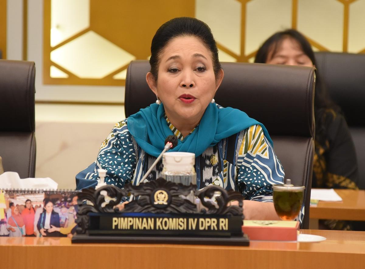 Komisi IV Minta Kementan Fokus Tingkatkan Produktivitas Guna Capai Swasembada Pangan