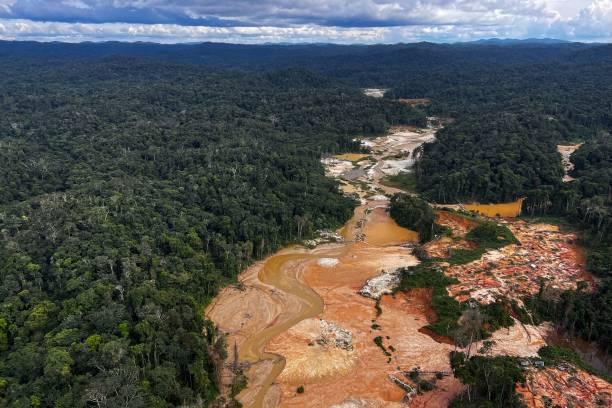 Deforestasi Hutan Amazon Brasil Turun 31 Persen Dibandingkan Tahun Lalu