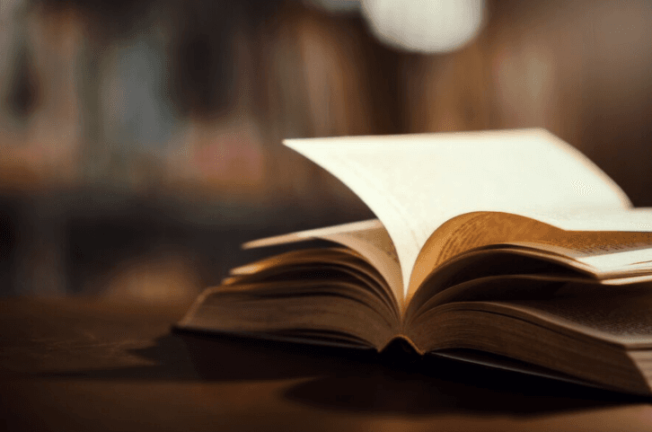 Filosofi Buku, Jendela Dunia dan Sahabat Sepanjang Masa