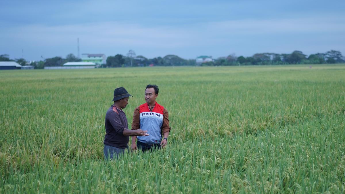 Bertambah Lagi, Desa Energi Berdikari Hadir di Indramayu Wujudkan Ketahanan Pangan dan Energi