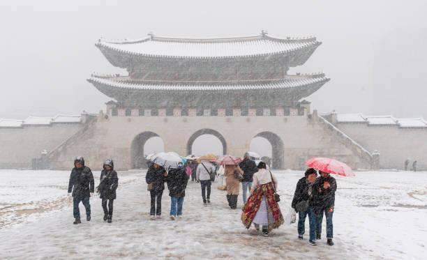 Hujan Salju Deras di Korea Selatan Tewaskan 3 Orang