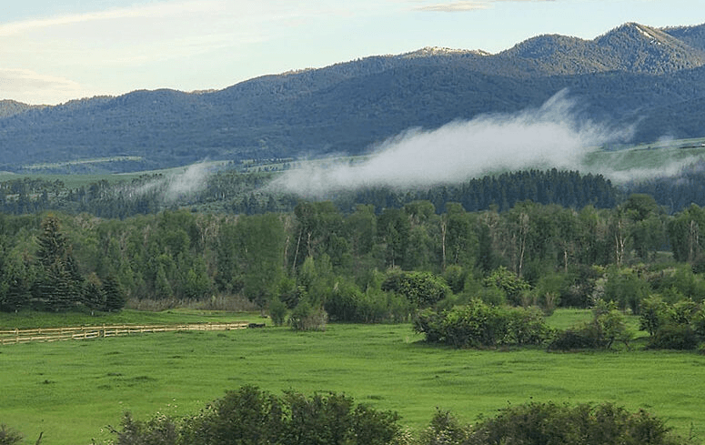 Menelusuri Keindahan Yellowstone Teton Territory di Idaho, Surga Alam yang Wajib Dikunjungi